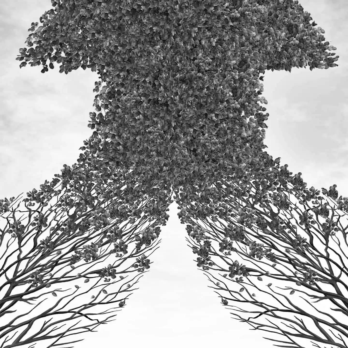 Approaching acquisition strategically