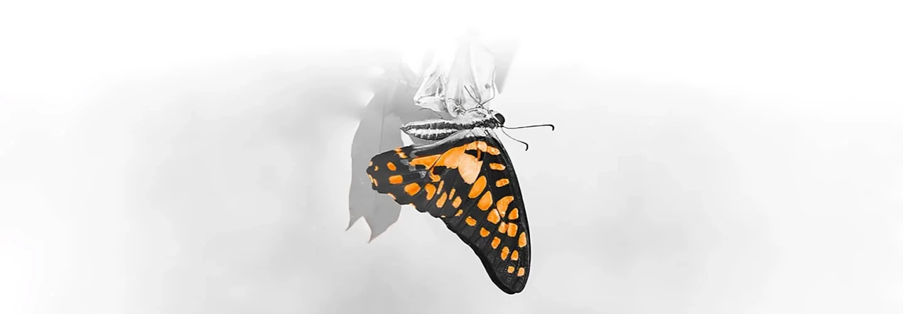 Business Transformation