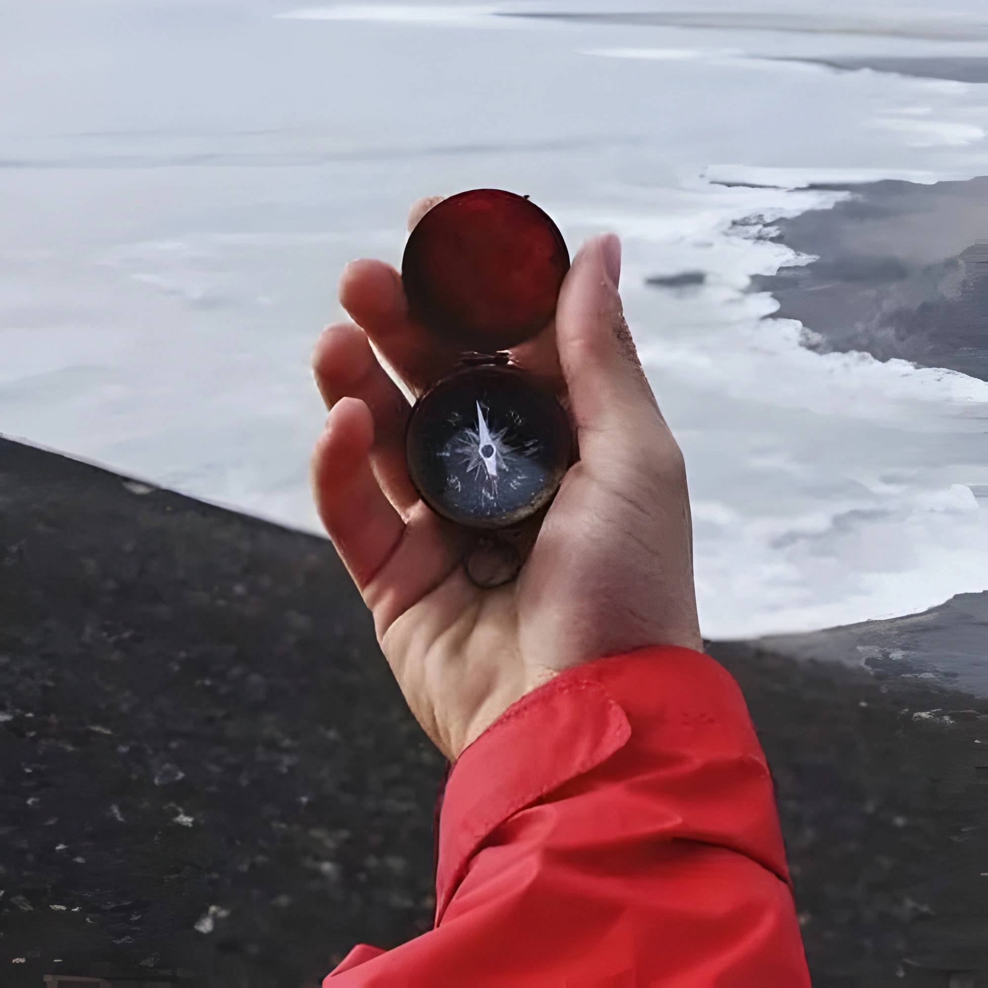 Navigating the Coronavirus crisis